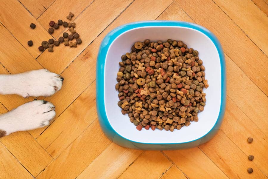 An image of a dog food