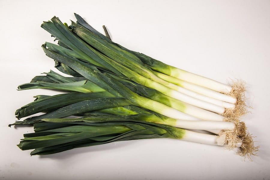 An image of a leek that guinea pigs can eat