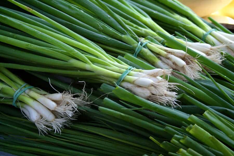 An image of scallions that guinea pig can eat