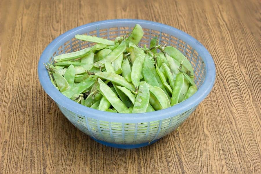 An image of a bowl of snow peas that guinea pigs can eat