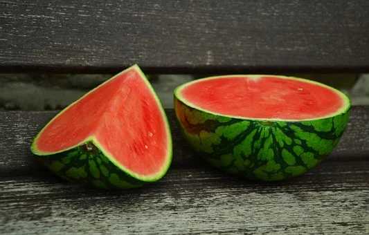 can guinea pigs eat watermelon