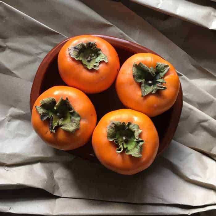 can guinea pigs eat persimmons