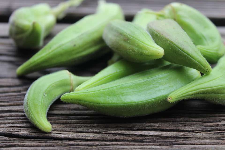 can guinea pigs eat okra