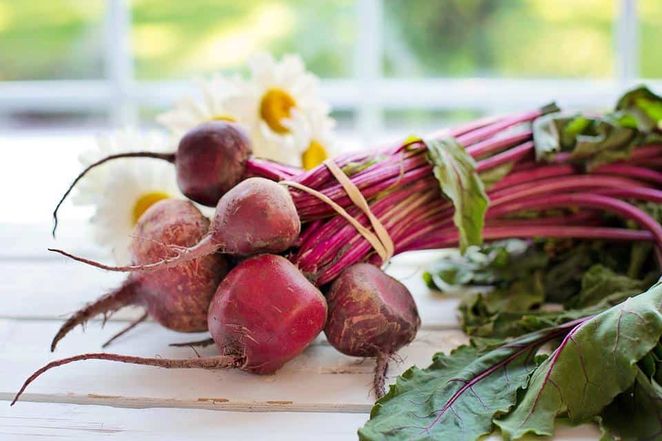 can guinea pigs eat beets